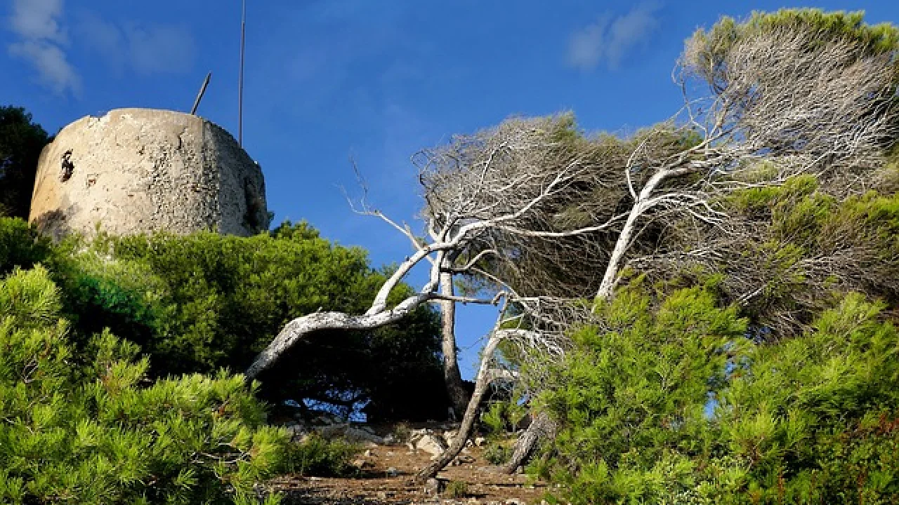 Cinsel İlişki Sırasında Tavanı Sayan Var mı?