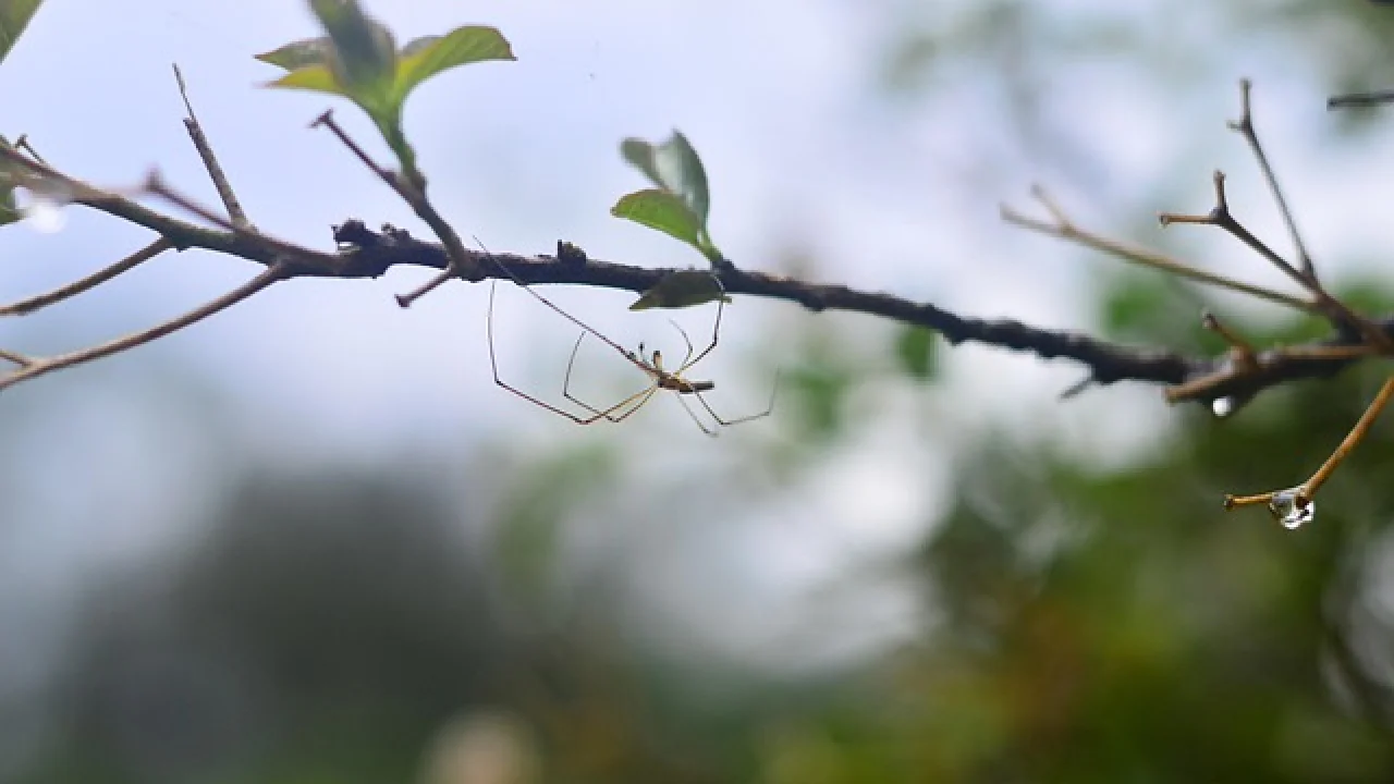 Çocuğunuz için en faydalı bulduğunuz rutin ya da alışkanlık nedir?