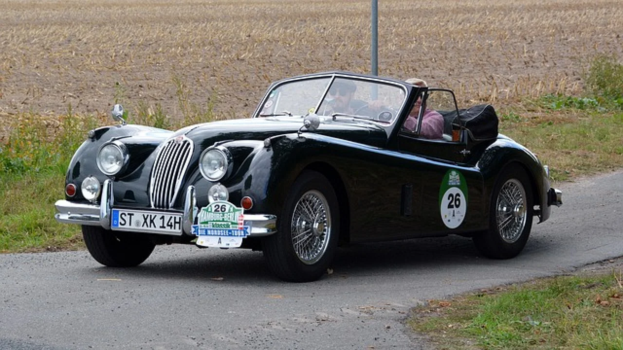 En Absürt Ses Çıkardığınız Anı Hatırlıyor musunuz?