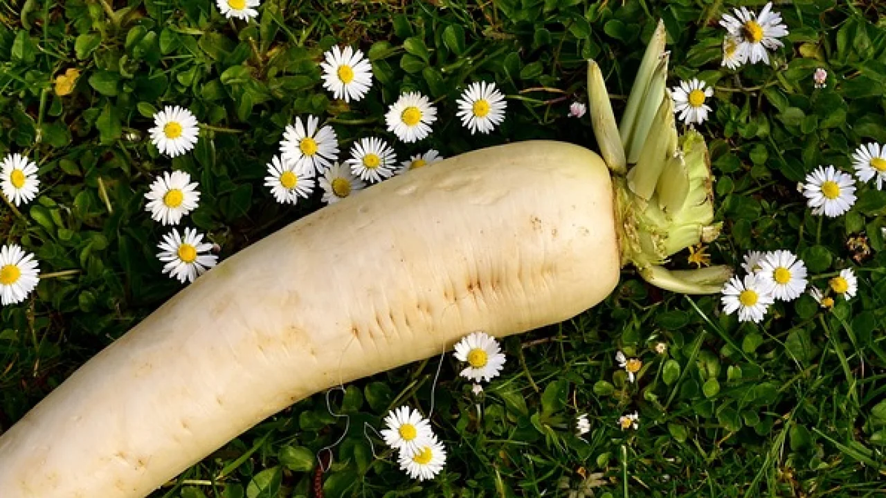 Herhangi bir kronik rahatsızlığınız var mı? Nasıl yönetiyorsunuz?