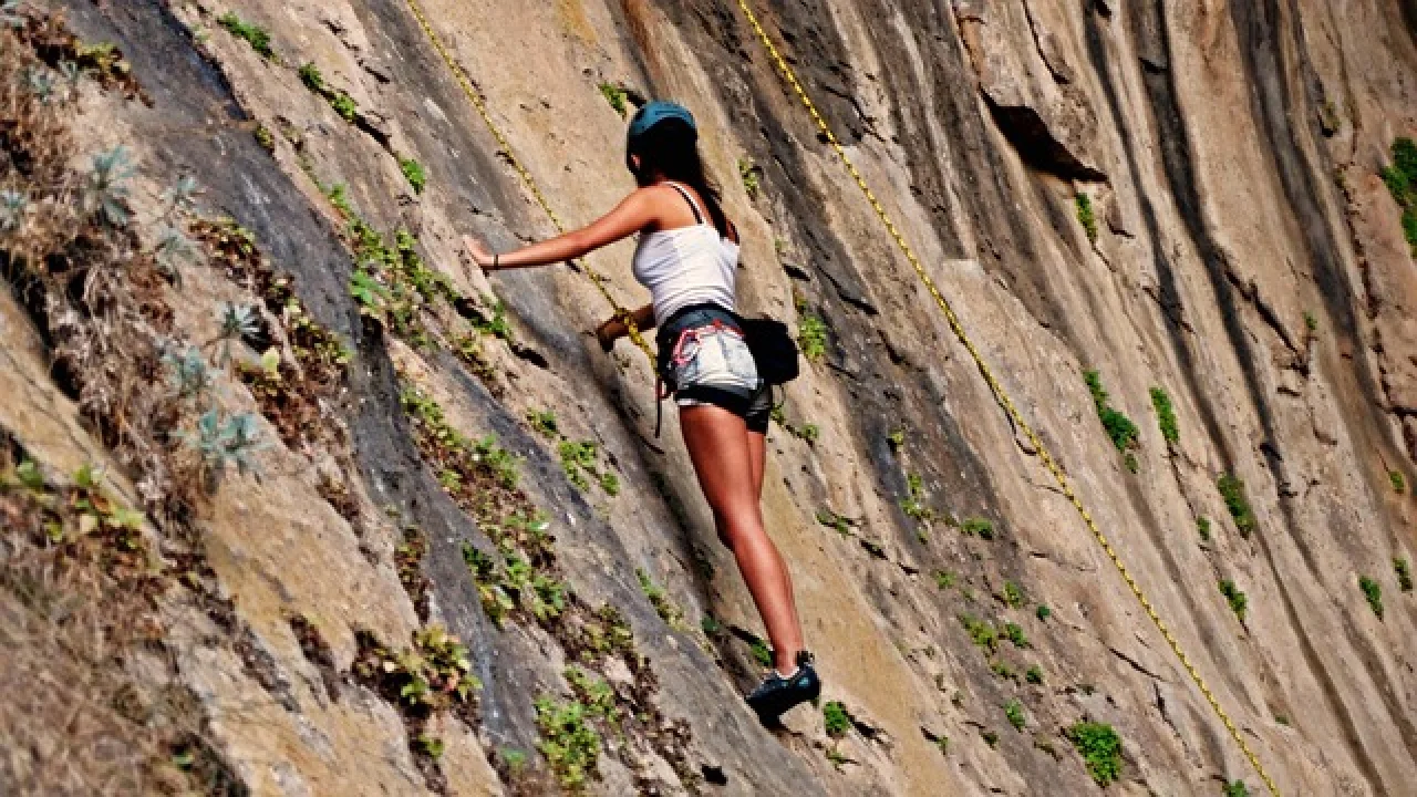Karanlıkta mı, Işıkta mı? Gerçekten Hangisi?