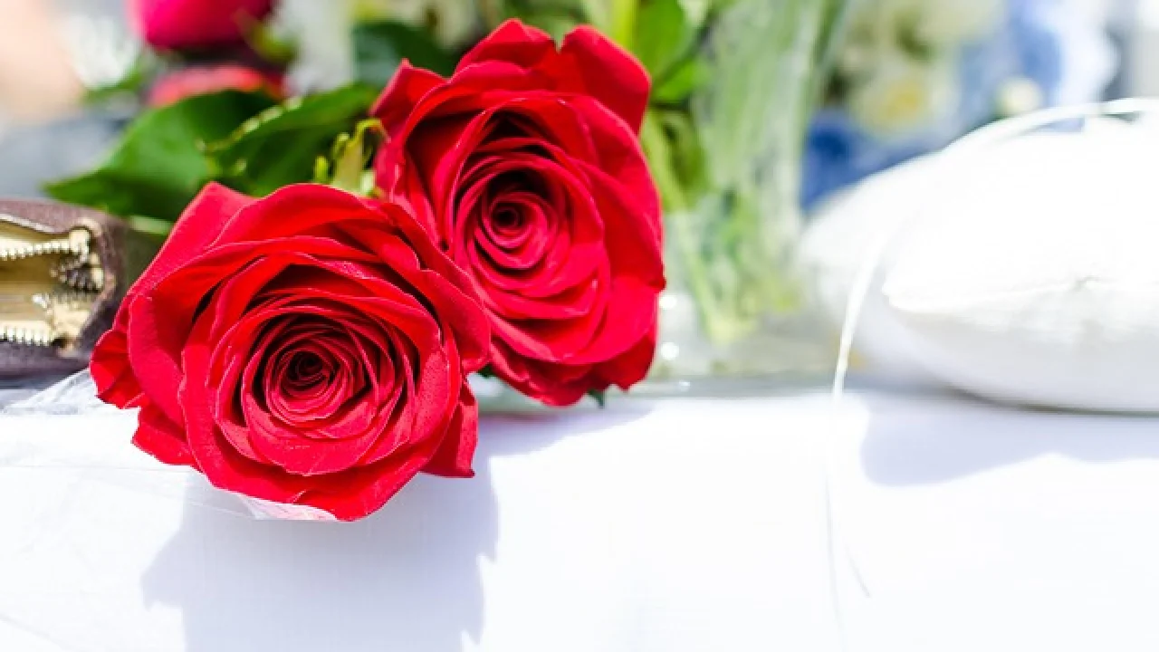 Kredi kartı borçlarını nasıl azaltabilirsiniz?